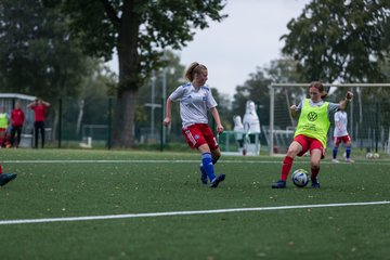 Bild 240 - C-Juniorinnen HSV - Walddoerfer : Ergebnis: 9:1